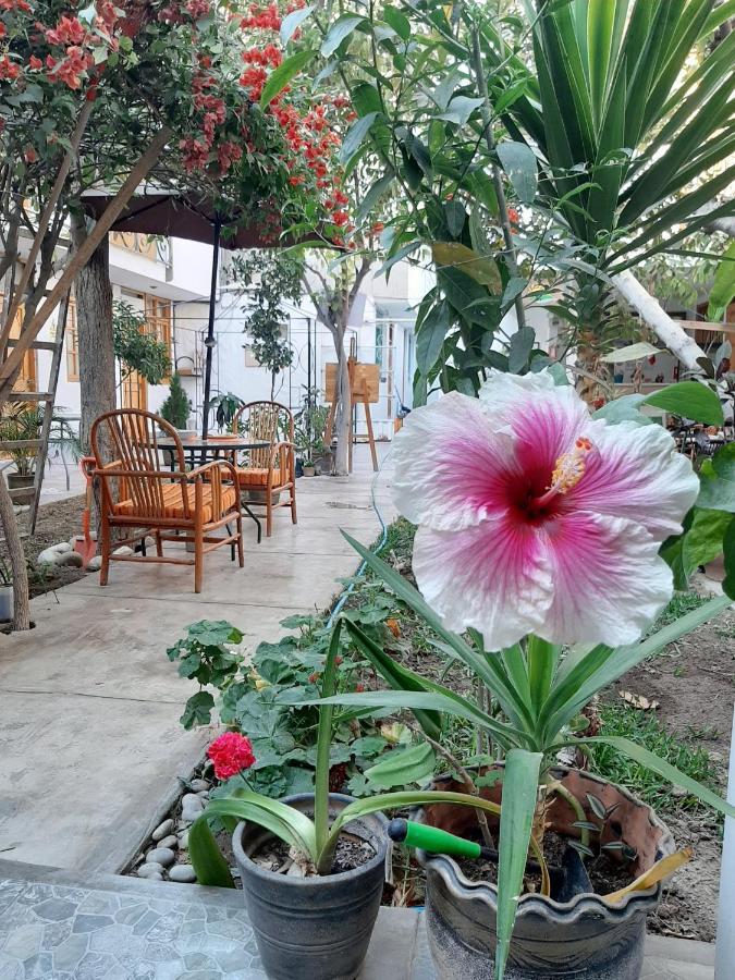 El Huerto Hostel Ica Dış mekan fotoğraf
