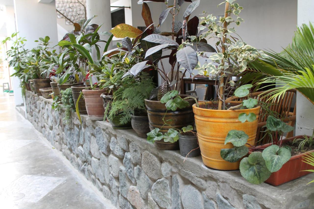El Huerto Hostel Ica Dış mekan fotoğraf