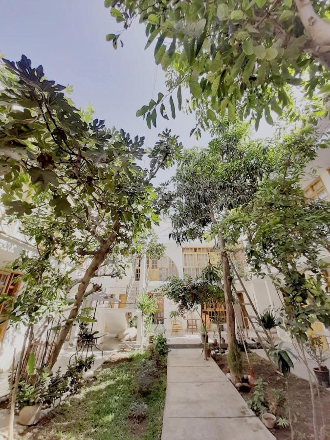 El Huerto Hostel Ica Dış mekan fotoğraf